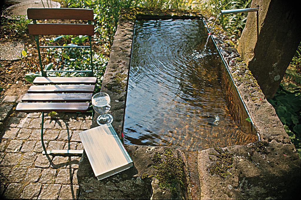 Kloesterle Hof Bad Rippoldsau-Schapbach Buitenkant foto