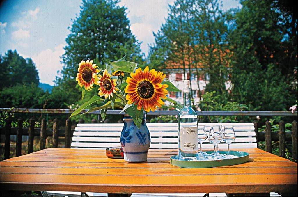 Kloesterle Hof Bad Rippoldsau-Schapbach Buitenkant foto